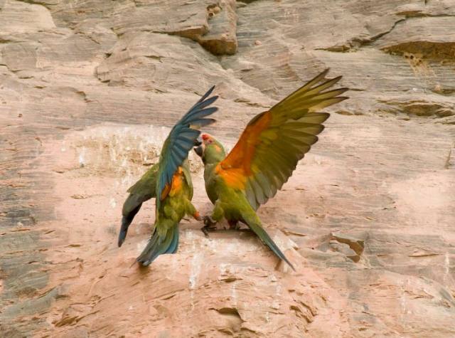 Las provincias manifiestan su apoyo al Gobernador Rub├âãÆ├é┬®n Costas